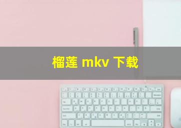 榴莲 mkv 下载